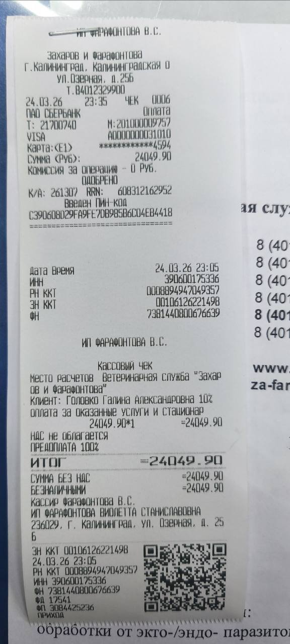 🚨 СРОЧНЫЙ SOS! НУЖНА ПОМОЩЬ СБИТОЙ СОБАКЕ УМКЕ 🙏🐶